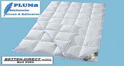 4-jahreszeiten-135x200-kassetten-bett-4x6-dauneneinziehdecke-5x7-collection-saxony-100-daunen-weisse-saechsische-600g-400g